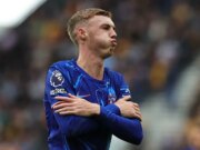 Cole Palmer nella bizzarra battaglia sul marchio “Chilly Palmer” con il famoso vigneto francese