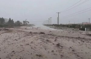 25/12: Notizie serali della CBS