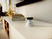 Questi sono i migliori gadget per il tuo animale domestico in questo momento