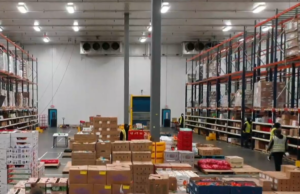 Quando i negozi di alimentari rifiutano i prodotti imperfetti, questa azienda interviene