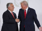 Bruxelles non è più belga – Musk