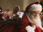 Il Regno Unito vieta la bollitura di aragoste e granchi vivi