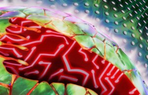 Information middle da miliardi di dollari stanno conquistando il mondo