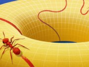 Ecco la varietà, il concetto che ha cambiato il modo in cui i matematici vedono lo spazio