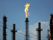 DOGE taglia e interrompe il codice ritarda un importante rapporto energetico