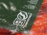 Buone notizie che potresti aver perso nel 2025