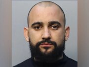 Un uomo della Florida avrebbe rubato 400 chili di avocado per comprare regali di Natale ai bambini