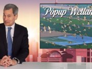 Buone notizie che potresti aver perso nel 2025