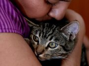 La corrispondenza fotografica AI riunisce una donna del Texas con il gatto smarrito dopo 103 giorni