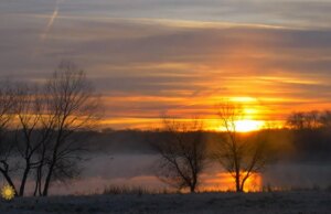 Natura: alba in Texas