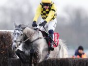 Sir Gino vola verso la corona dell’ostacolo di Natale