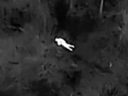 Anziano scomparso trovato in un bosco dal freddo pungente dopo che la polizia ha schierato un drone per immagini termiche