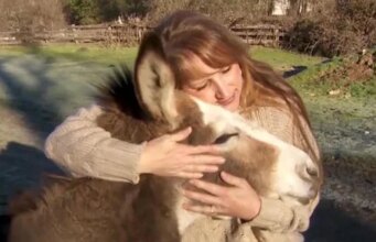 The Uplift: un santuario e una connessione fortuita