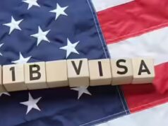 “Un avvocato single e selvaggio per l’immigrazione ha approvato 700.000 H-1B”: un professore americano mette in dubbio la massiccia “frode” sui visti in Texas