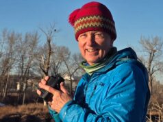 Ecco perché gli avvistamenti di aquile calve sono aumentati vertiginosamente in tutta l’Alberta