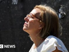 Il genero del candidato dell’opposizione venezuelana è stato liberato dal carcere, cube la moglie