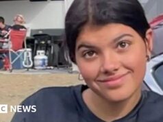 Un adolescente canadese è morto annegato dopo l’attacco di un dingo in Australia