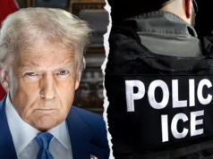 Gli esperti conservatori dell’immigrazione si dividono sulla questione se Trump stia “facendo marcia indietro” nella lotta all’ICE del MN