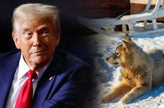 La Danimarca occupa la Groenlandia – inviato di Trump