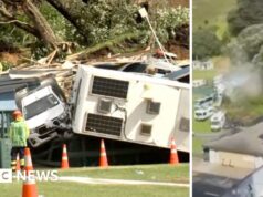 Il filmato cattura il momento in cui inizia la frana neozelandese sul Monte Maunganui