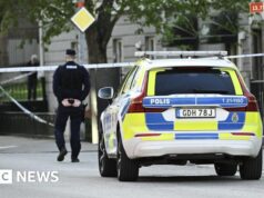 La Svezia mira advert abbassare l’età della responsabilità penale a 13 anni poiché le bande reclutano bambini