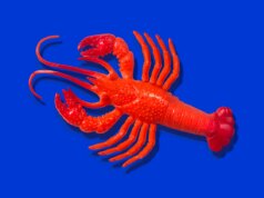 Il creatore di OpenClaw Peter Steinberger si unisce a OpenAI