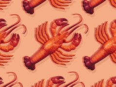 Tutto quello che devi sapere sull’assistente personale virale AI Clawdbot (ora Moltbot)