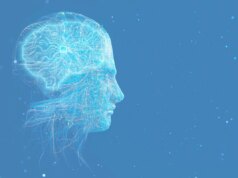 Il produttore di software program di robotica Skild AI raggiunge una valutazione di 14 miliardi di dollari