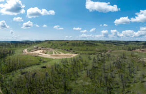 Dalle ceneri alle risorse: il Seattle’s Mast dimostra che la biomassa sepolta dagli incendi può finanziare il recupero delle foreste