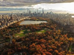 Uber crea “AV Labs” per sfruttare i dati per i futuri percorsi dei Robotaxi