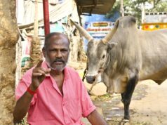 Jallikattu 2026: Perché i domatori di tori di Alanganallur rischiano la vita