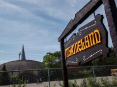 Il Canada approva il piano per trasferire le balene beluga destinate all’eutanasia negli Stati Uniti