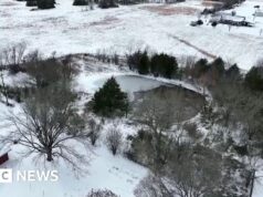 Tre fratelli muoiono dopo essere caduti in uno stagno ghiacciato del Texas