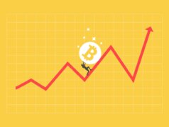 Ho investito $ 50 in Bitcoin nel 2022 e l’ho visto crollare e rafforzarsi: ecco quanto vale oggi