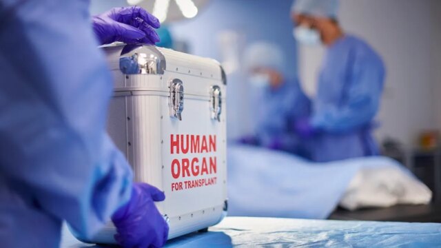 human-organ-for-transplant.jpg