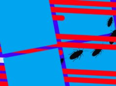 Microsoft rilascia la seconda patch di emergenza per Home windows questo mese: aggiorna il tuo PC oggi stesso