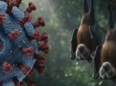 Avviso virus Nipah: gli Emirati Arabi Uniti sono a rischio a seguito dell’epidemia in India?