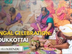 Guarda: le celebrazioni di Pongal illuminano Pudukottai