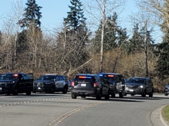 L’aggressore armato di coltello scompare dopo che alcuni accoltellamenti diurni hanno colpito un ricco sobborgo