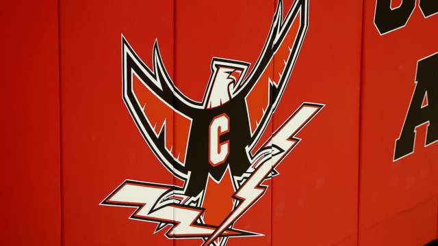 t-birds-logo.png