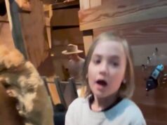 Dopo 18 anni e 1 milione di visitatori, l’amata mostra per bambini di Los Angeles presenta un’esperienza rinnovata