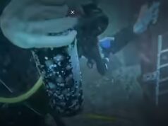 Perché i subacquei in Cile mettono le bottiglie di vino sotto l’oceano in gabbie chiuse