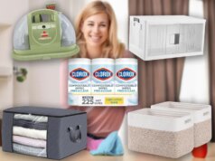 Prodotti per dare il by way of alle pulizie di primavera