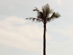 La star di Made In Chelsea, Andy Jordan, rivela che la moglie Alexandra è incinta del loro primo figlio mentre condivide una dolce foto del pancione dal sole dello Sri Lanka