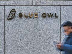 “Canarie nella miniera di carbone”: la liquidità del Blue Owl frena i timori di una bolla del credito privato