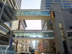 “Sono troppo stupidi per sapere…”: professore di New York sotto accusa per commenti razzisti sugli studenti neri