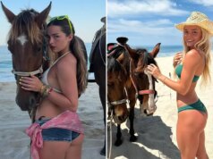 Stelle in sella per dare il by way of all’anno del cavallo di fuoco