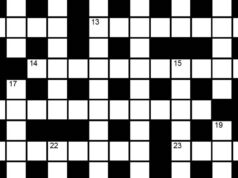 Il cruciverba della domenica indù n. 43