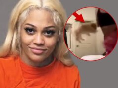 Il cane dello streamer Aspen Kartier riceve richieste di adozione e viene collocato in una casa adottiva