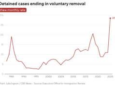 Le partenze volontarie raggiungono livelli file mentre gli immigrati detenuti perdono la speranza